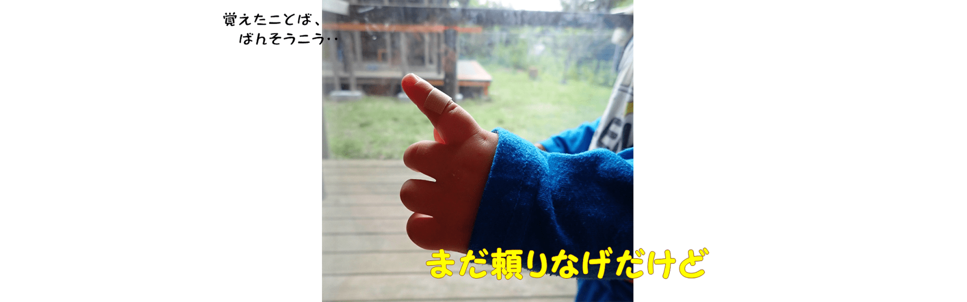 まだ頼りなげだけど