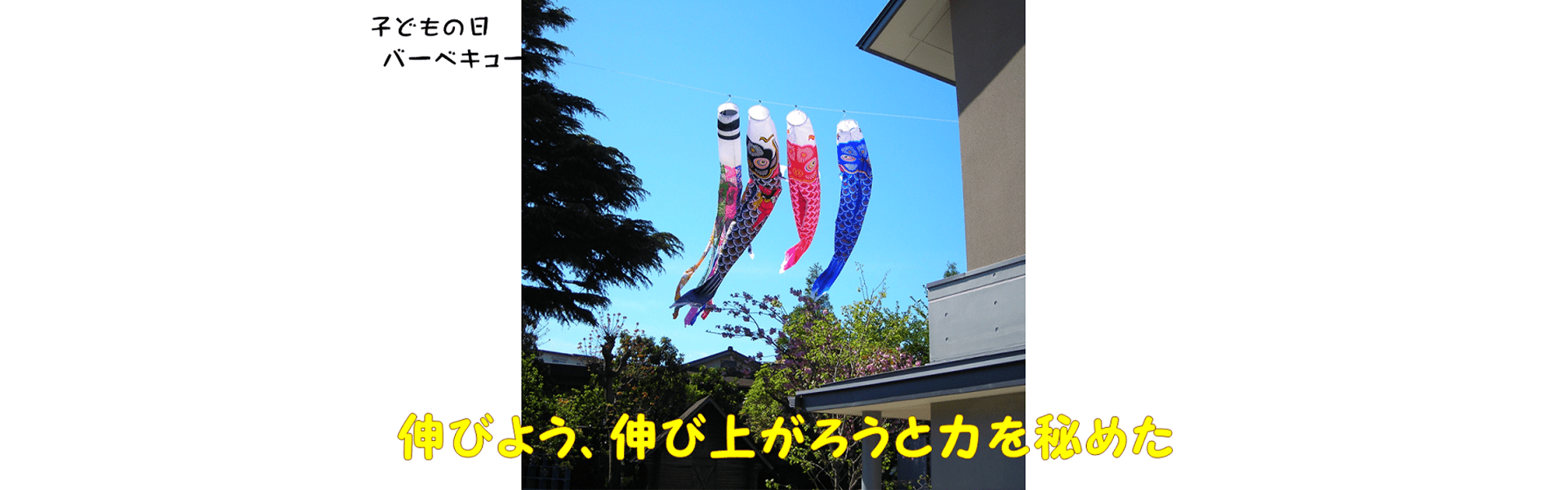 伸びよう、伸び上がろうと力を秘めた